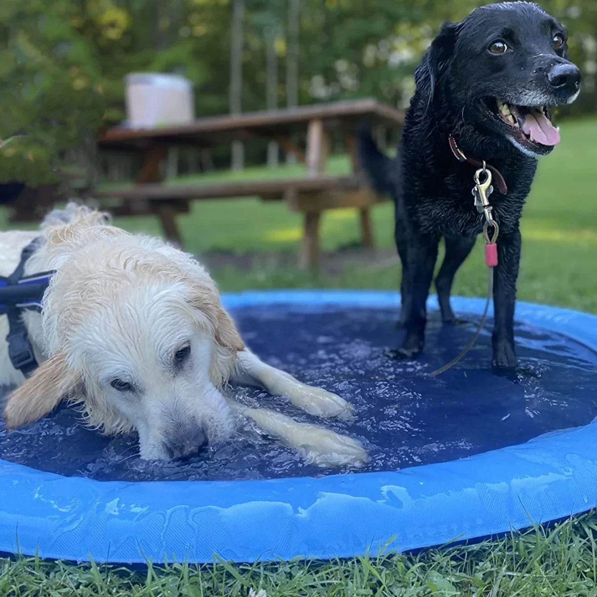 100/150/200cm Summer Pet Sprin - Slip Slide Water Mat 评论和价格