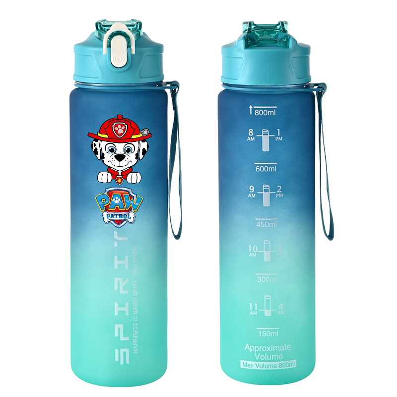 800ml PAW Patrol Sports Water  - Kids Outdoor Kitchen 评论和价格